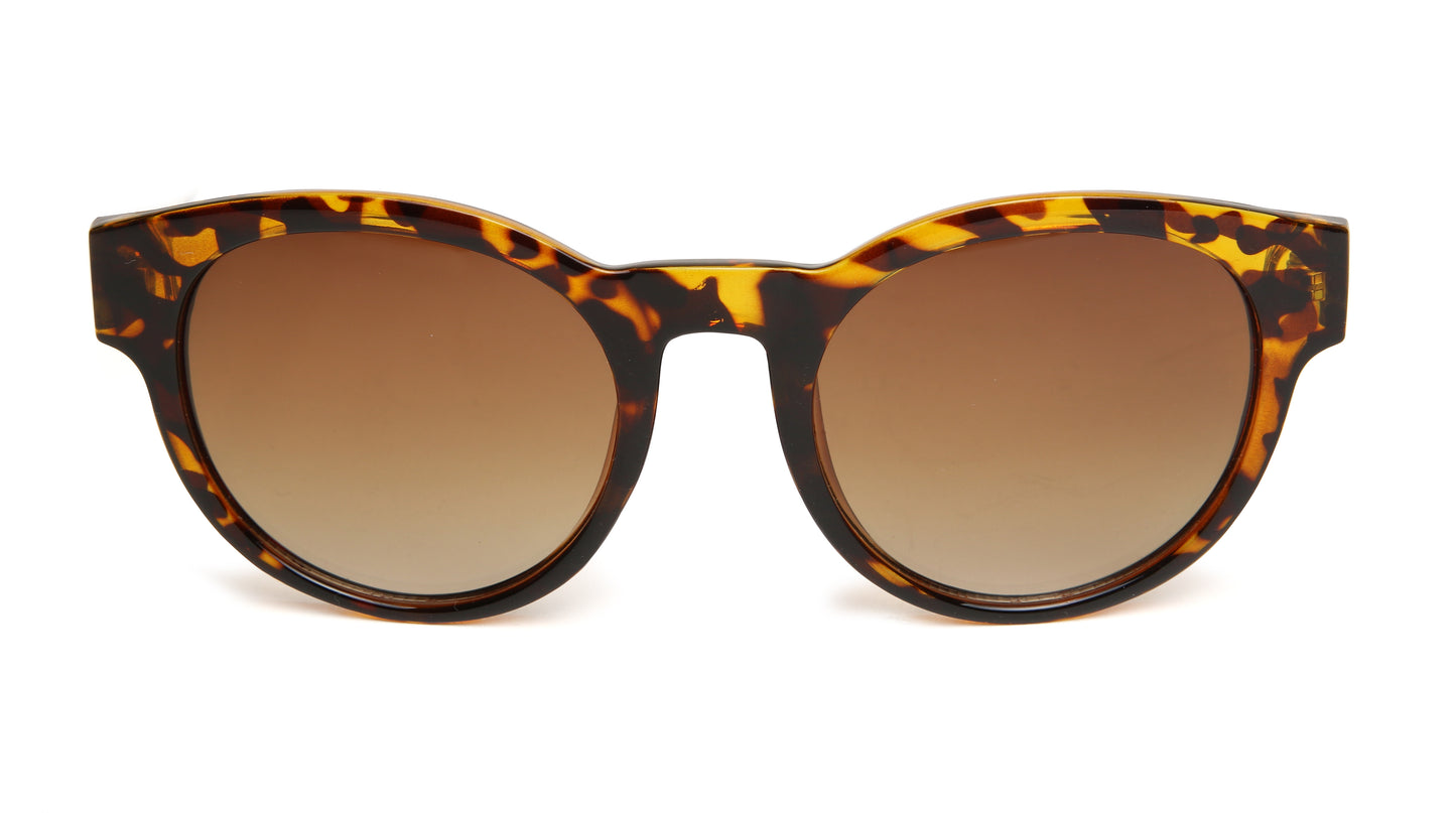 The MONACO - Tortoise